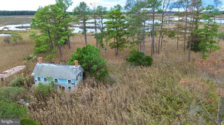 2205 TODDVILLE POND ROAD