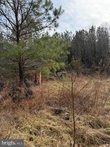 LONG POINT ROAD