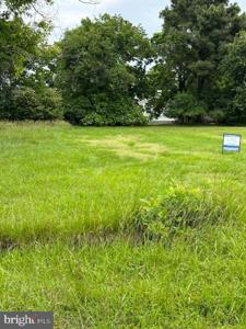 parcel 210 MELVIN WHITE ROAD