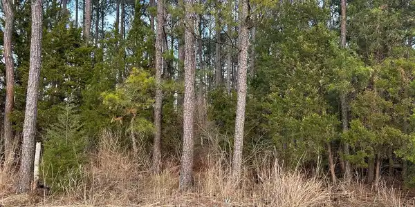 SEABREEZE COURT