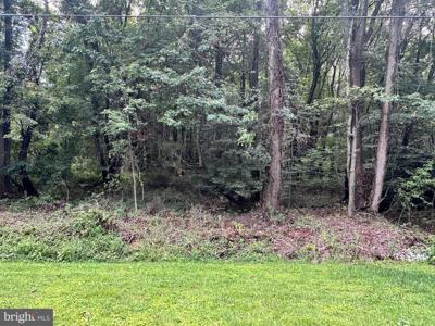BUCK NECK LANDING ROAD