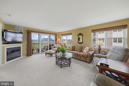 37464 PETTINARO DRIVE