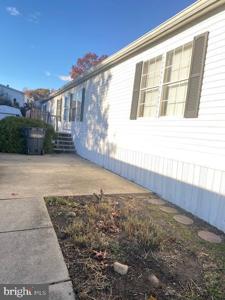 EMILY DRIVE
