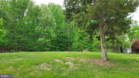 395 HAZELMOOR DRIVE