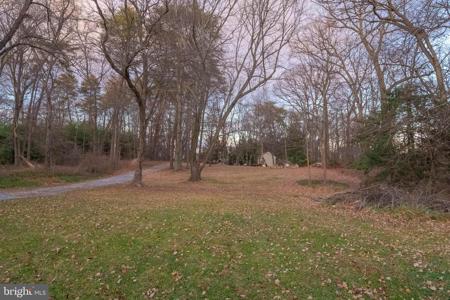 KING AVENUE