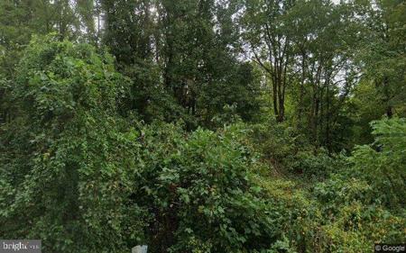 875 MOUNT HARMONY ROAD