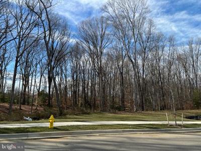 FARRAGUT DRIVE