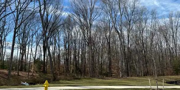 FARRAGUT DRIVE