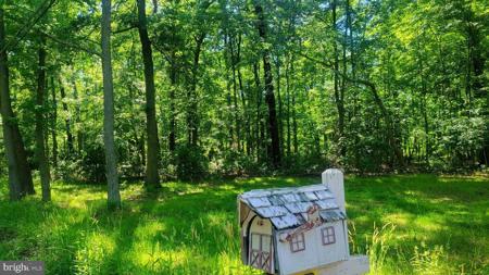 838 NABBS CREEK ROAD