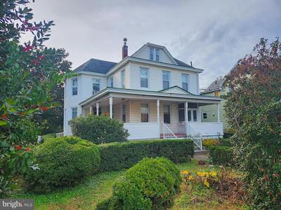 7103 HOLABIRD AVENUE