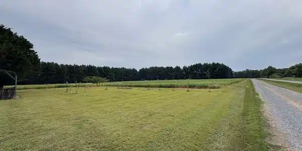 21682 DOVER BRIDGE ROAD