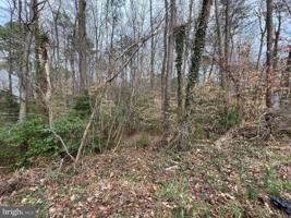 11579 TOMAHAWK TRAIL W