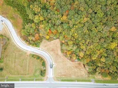 STONE BOUNDARY ROAD
