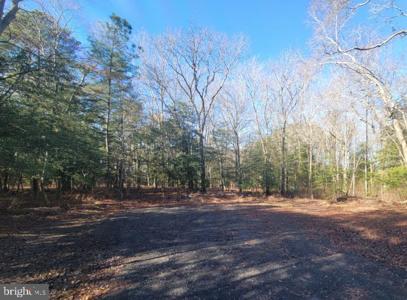 31833 DIANE ROAD