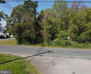 WILKINS AVE