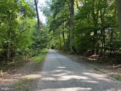 POPLAR STREET