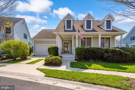35 TULIP POPLAR TURN