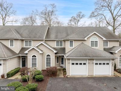 38756 SKIPJACK VILLAGE ROAD