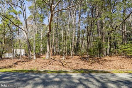 LOT 52 DAVEY JONES BOULEVARD
