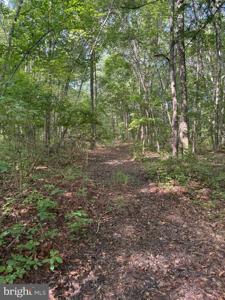 0 CHURCH CREEK ROAD
