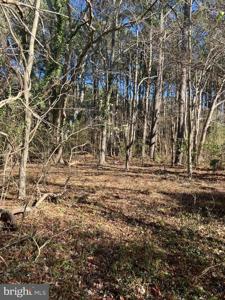 Lot 11 DAVIS RD