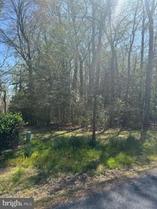 HOLLY LANE
