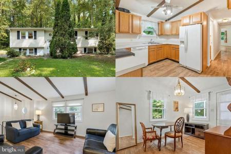 310 MCMICHAELS DRIVE