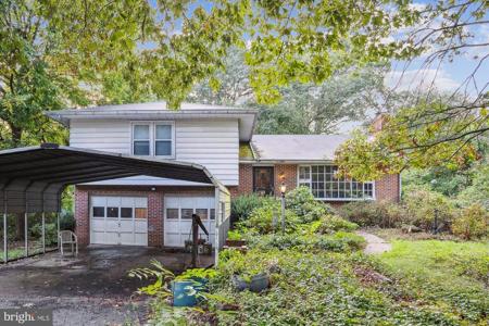 8216 JUMPERS HOLE ROAD