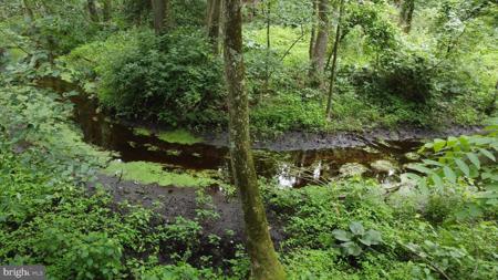 1.33 acres W COASTAL HIGHWAY
