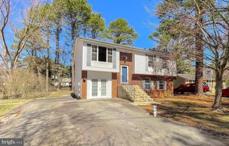 446 CHESTNUT DRIVE