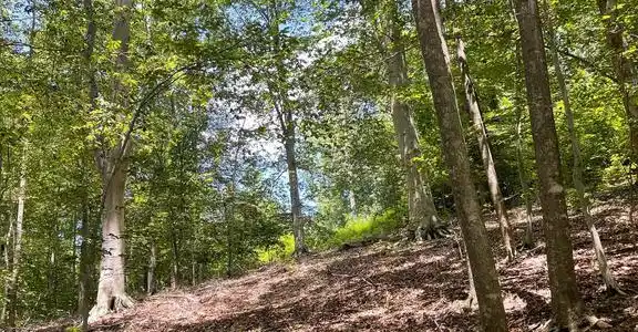 Lot 28 COMPASS COURT