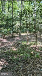 0 ST MARTINS NECK RD
