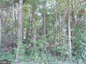 MILLBROOK DRIVE