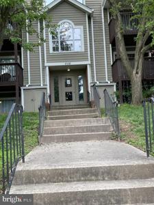 206 WATER FOUNTAIN COURT