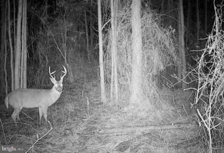 0 BOONE ROAD