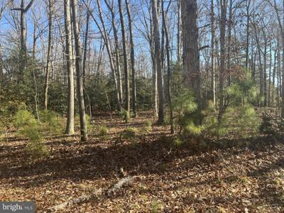 0 TURKLE POND ROAD