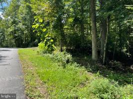 Lot 46 MCKINLEY DRIVE