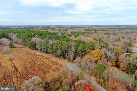 Parcel #169 GEORGETOWN ROAD