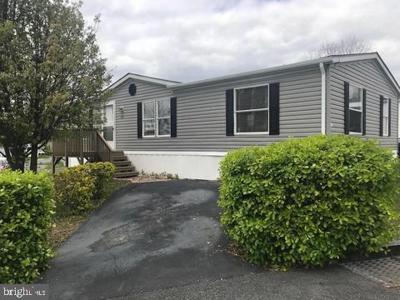 67 CATTAIL LANE
