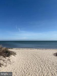 366 BAY