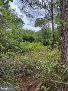 0 BOONE ROAD