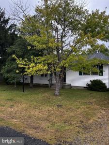 4 CLAYTON AVENUE