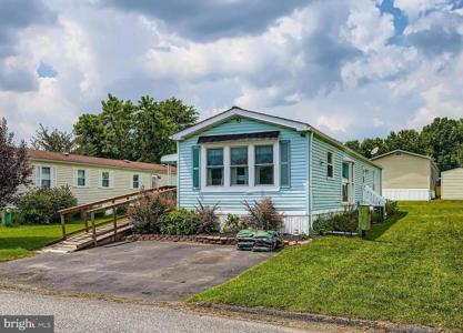 141 COWHIDE CIRCLE