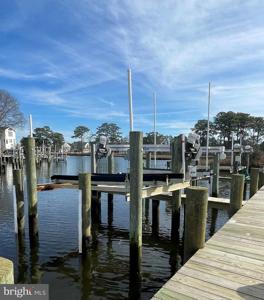 155 NAOMI DRIVE/WHITES CREEK MARINA