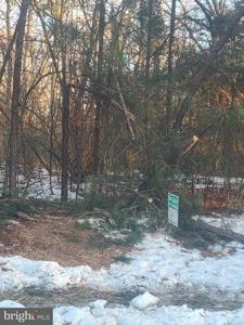 SHILOH CHURCH ROAD