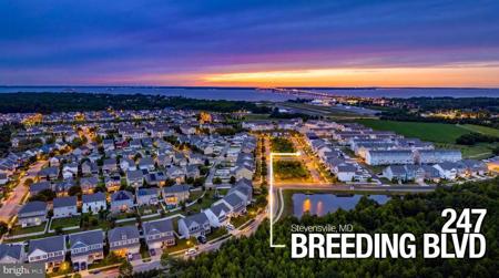 247 BREEDING BOULEVARD