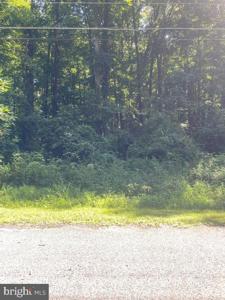 SHELDRAKE DRIVE