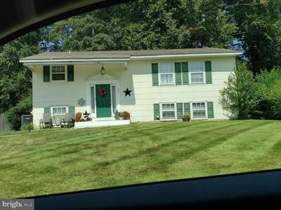 251 COURTNEY DRIVE