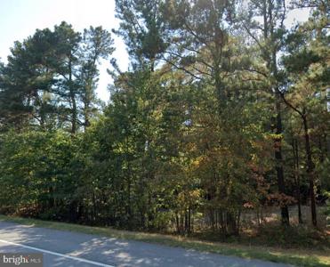 THREE NOTCH ROAD