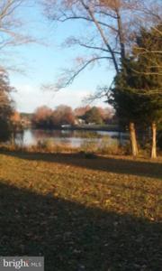 1483 WILTON